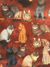 Load image into Gallery viewer, Cats &quot;Felicity Stripe - Black&quot;; and &quot;Felicity - Cinnamon&quot; - Adult and Tiny Aprons
